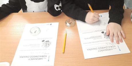 Powiększ grafikę: wyjscie-do-oceanarium-w-gdyni-665530.jpg