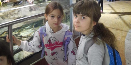 Powiększ grafikę: wyjscie-do-oceanarium-w-gdyni-665532.jpg