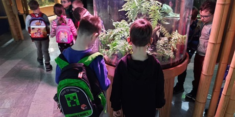 Powiększ grafikę: wyjscie-do-oceanarium-w-gdyni-665536.jpg